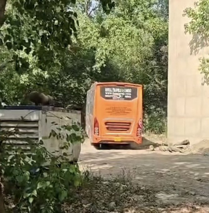 டெல்லியில் மீண்டும் பயங்கரம்: பேருந்தில் பெண்ணைக் கடத்தி கூட்டுப் பலாத்காரம்